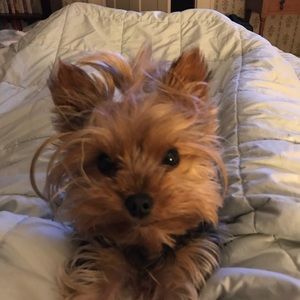 Meet your Posher, Nancy